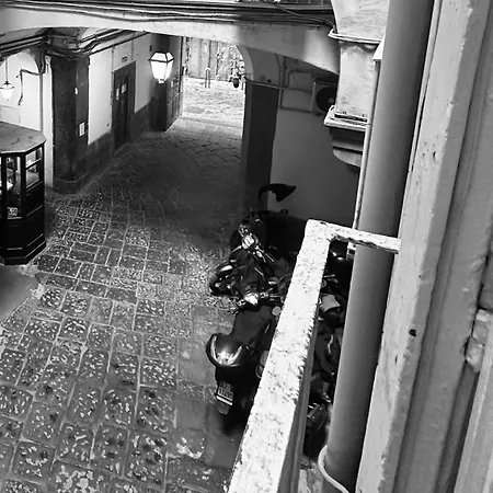 Dimora Del Plebiscito